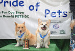 Pride of Pets 2011 #129