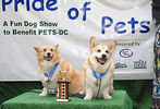 Pride of Pets 2011 #130