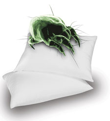 Control dust mites and other allergens in your home