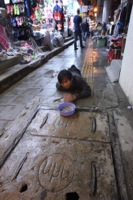 Bangkok Thailand Crawling Man