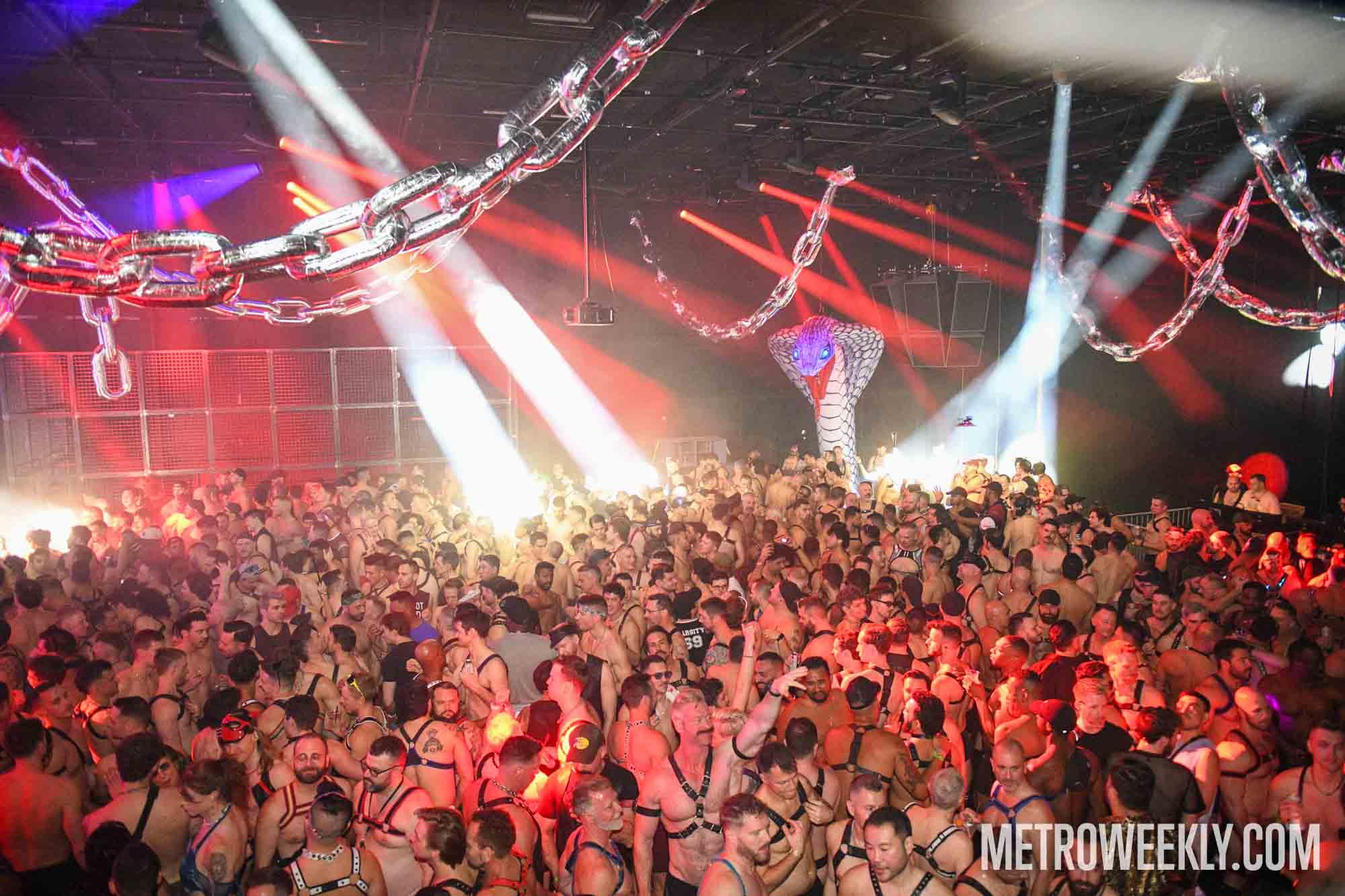 #5 of 40 : 2026-01-23_3026_179181.jpg