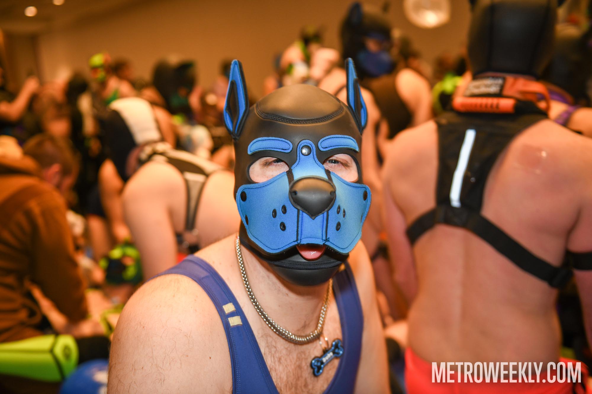 #15 of 168 : 2026-01-23_3027_179231.jpg