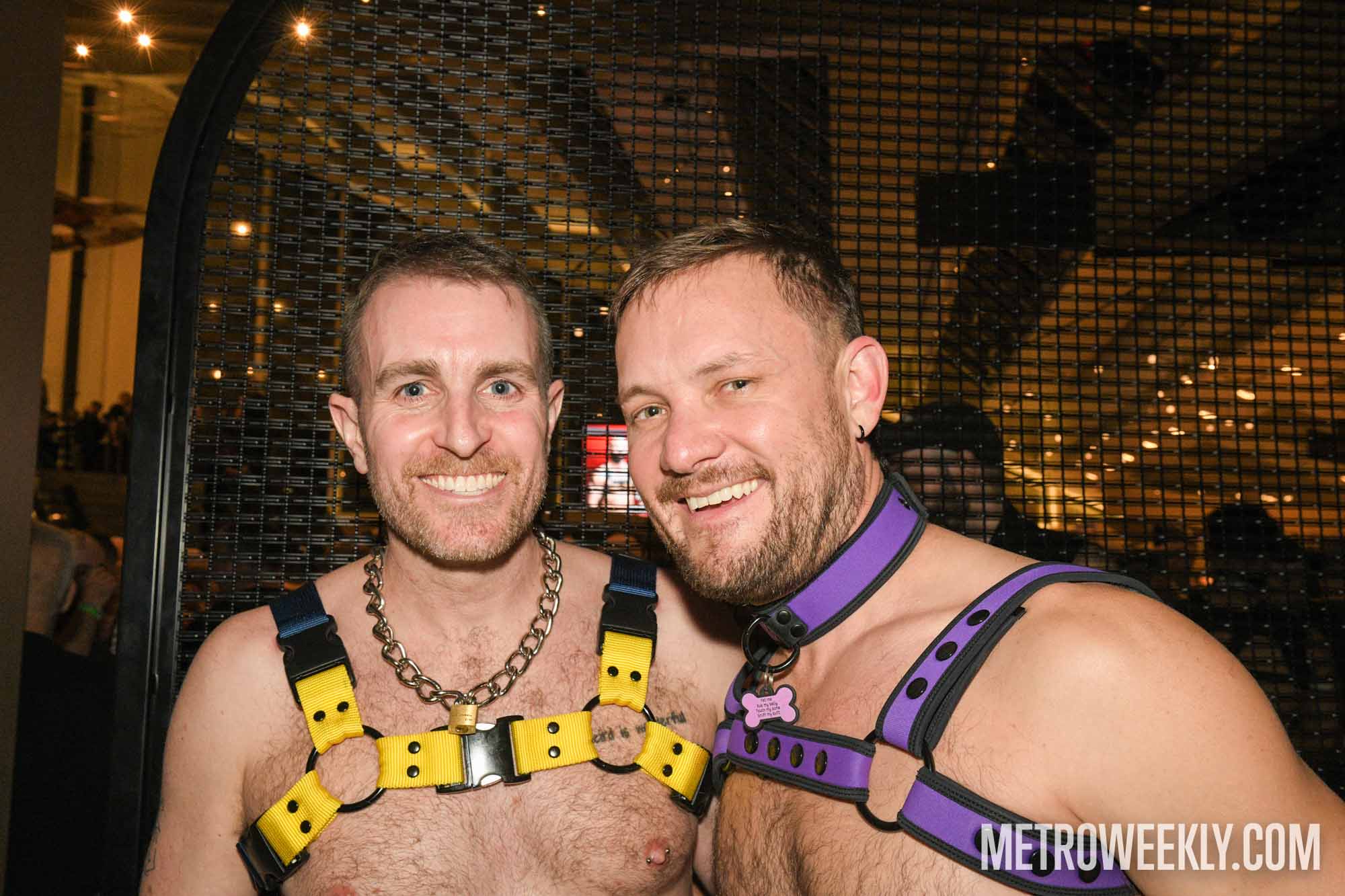 #121 of 168 : 2026-01-23_3027_179337.jpg