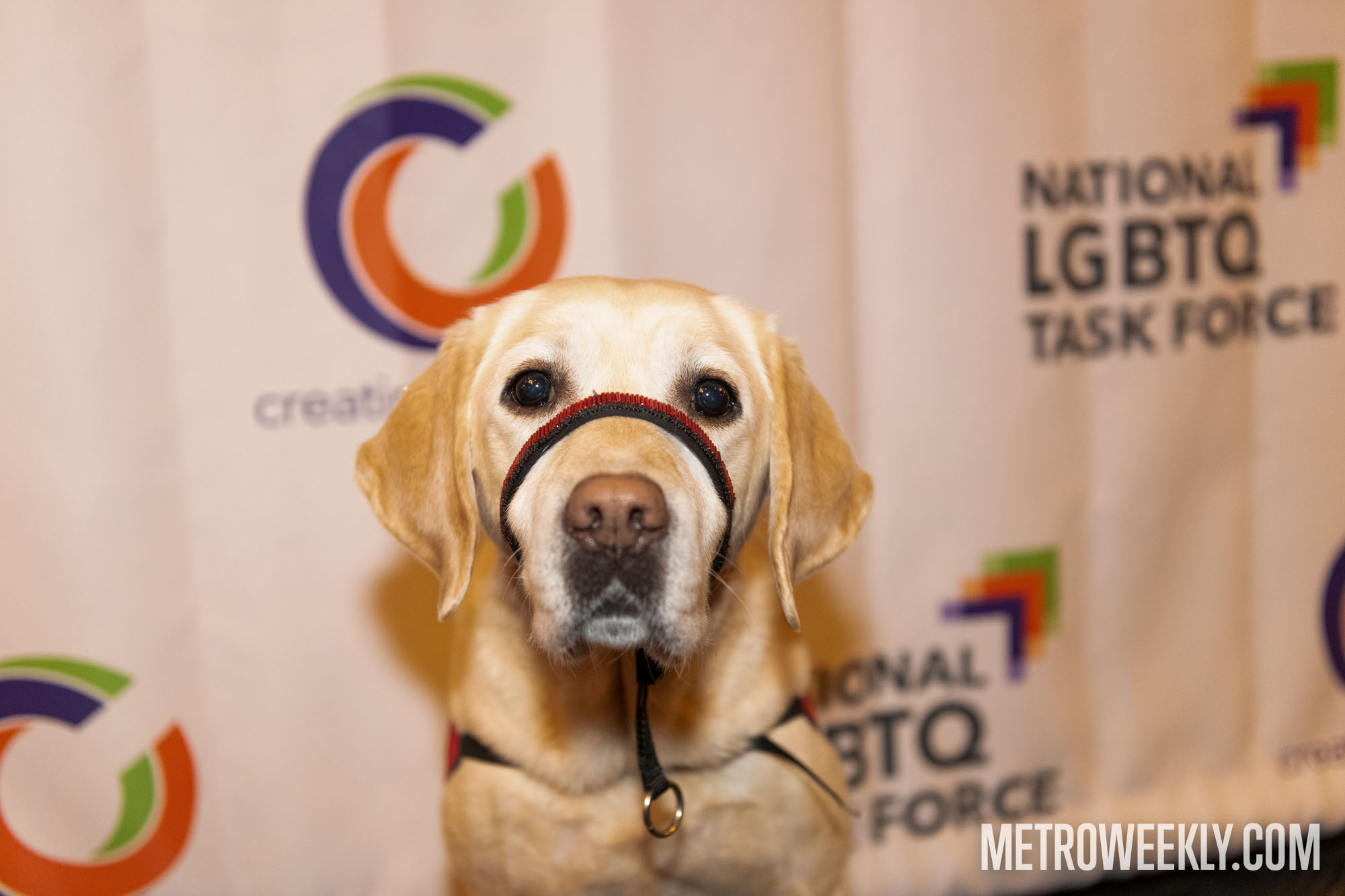 #14 of 74 : 2026-01-28_3029_179492.jpg