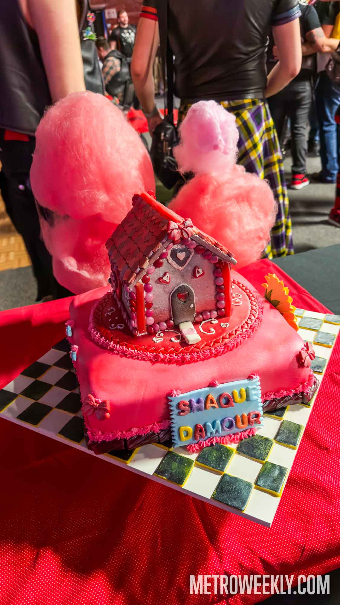 #14 of 23 : 2026-02-25_3032_179673.jpg