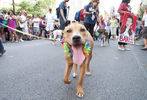 Baltimore Pride Parade and Street Festival #174