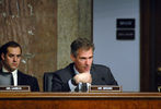 Senate Hearing on Pentagon DADT Report, Day 1 #16