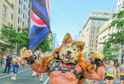Capital Pride Parade 2024: Part 1 (Ward Morrison) #103