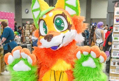 Click to see these Pics