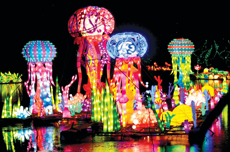 Reston Zoo's Chinese Lantern Festival 