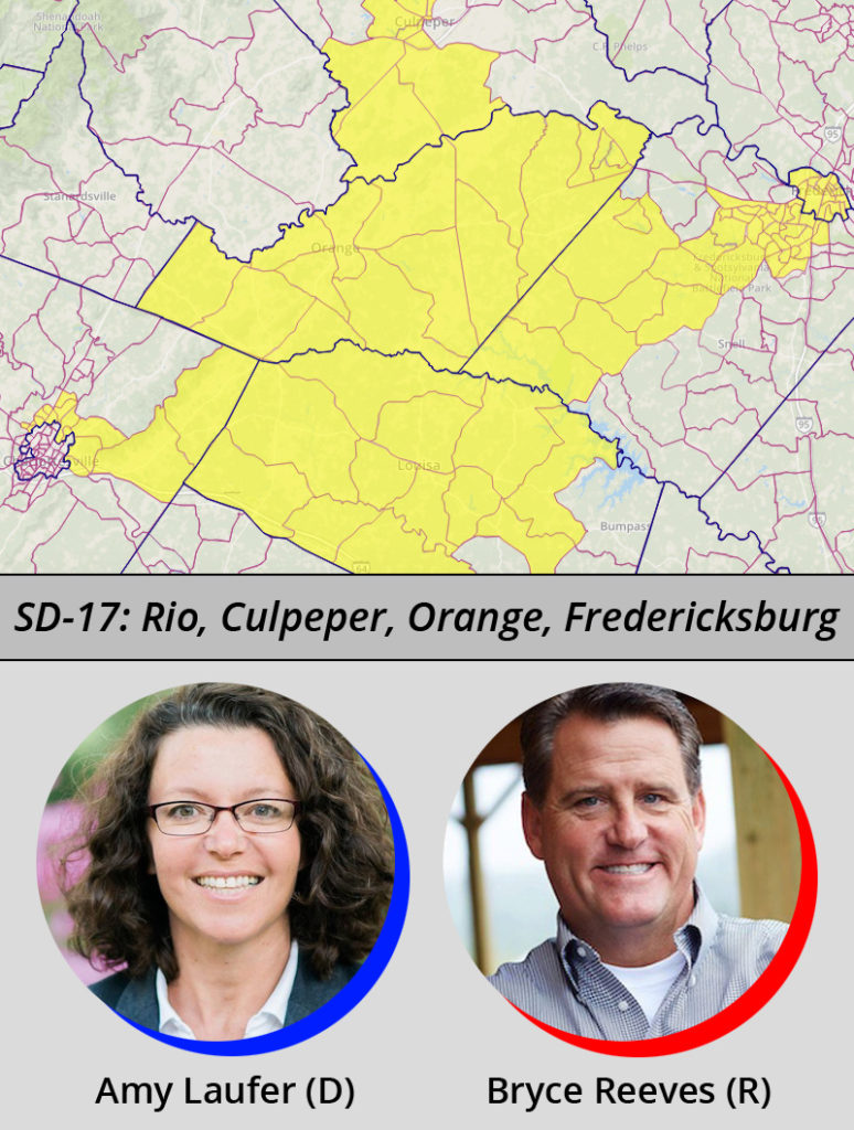 Virginia Election 8 Senate Races to Watch Metro Weekly