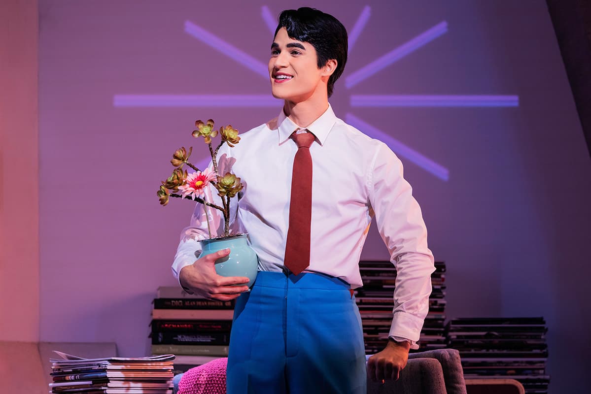 Maybe Happy Ending: Darren Criss - Photo: Matthew Murphy and Evan Zimmerman