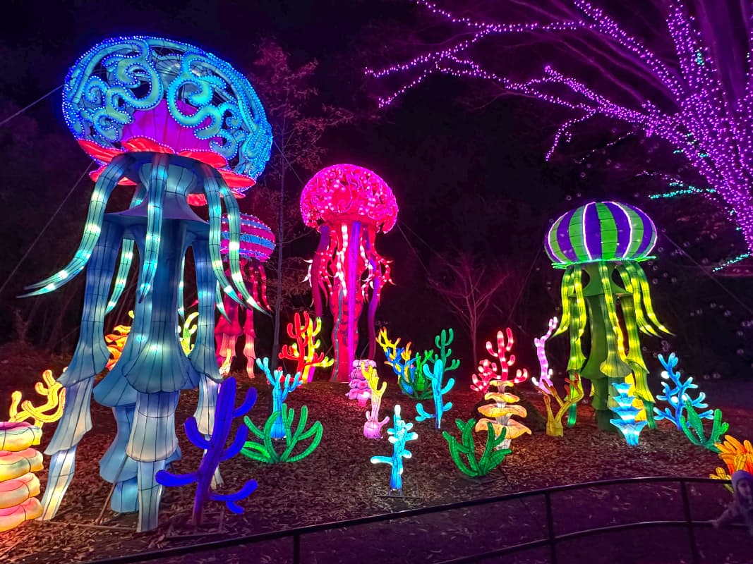 ZooLights - Photo: Randy Shulman/Metro Weekly