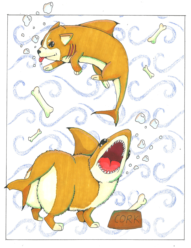 Dandy Knopf: Corgishark